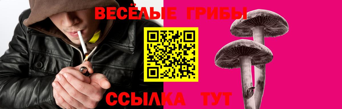 магазин    Псилоцибиновые грибы Psilocybine cubensis  Вход с VPN  Псилоцибиновые грибы Magic Shrooms  Кандалакша 